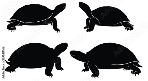 Bild auf Leinwand Turtle Silhouettes Collection Black Shapes On White Background