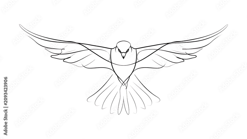 Fototapeta premium Minimalist bird drawing on white background.