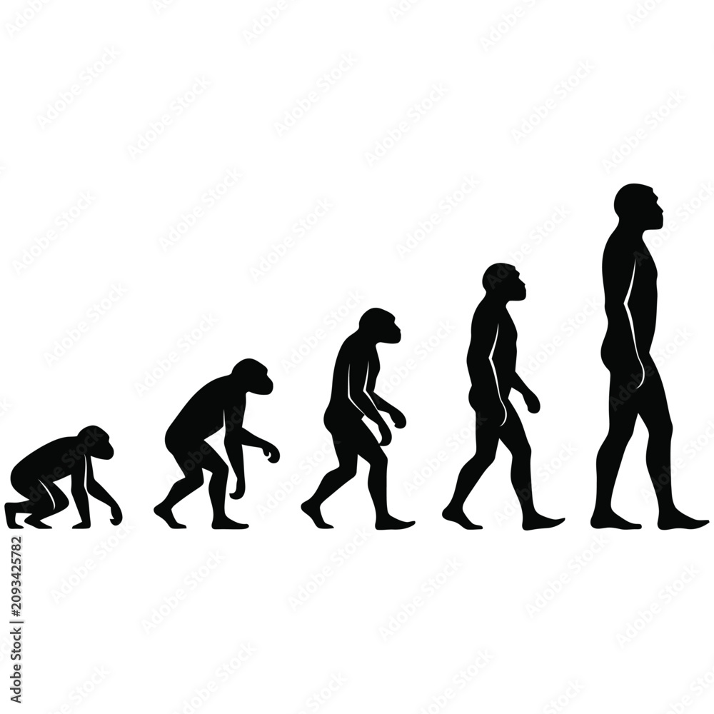 Obraz premium Stages of human evolution silhouette showing progression of species