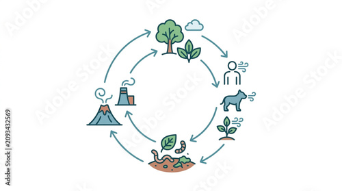 Cuadro en lienzo Circular diagram of natural ecosystem and food chain.