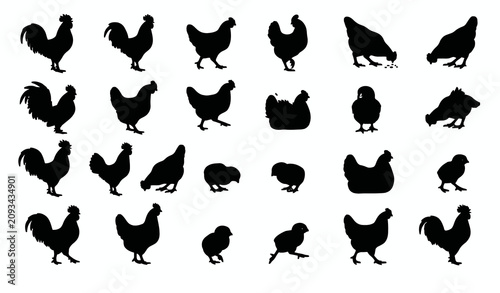 Chicken Silhouette Vector Set Rooster and Hen Black Farm Bird Collection