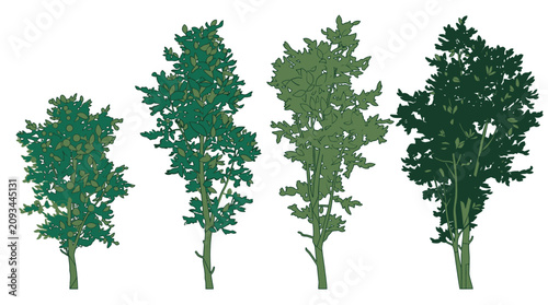 Eine Sammlung von vier verschiedenen grünen Baum-Silhouetten in unterschiedlichen Schattierungen und Formen, isoliert auf einem rein weißen Hintergrund für grafische Designs.