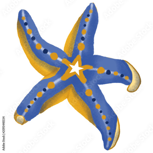 Blue Starfish Hand Drawn Sea Star Marine