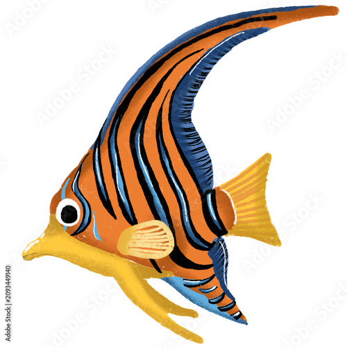 Cute Copperband Butterflyfish Hand Drawn Tropical Marine Fish Illustration Isolated on White Background
