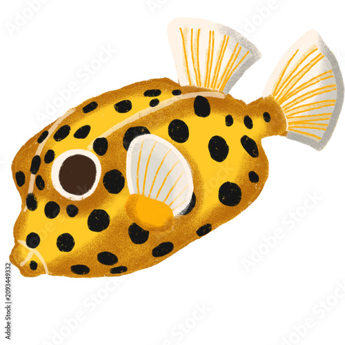 Cute Yellow Boxfish Tropical Marine Fish Hand Drawn Illustration Isolated on White