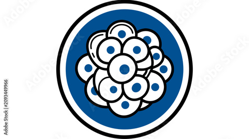 Bild auf Leinwand Embryo Development Icon: Early Stage Cell Division in Blue Circle