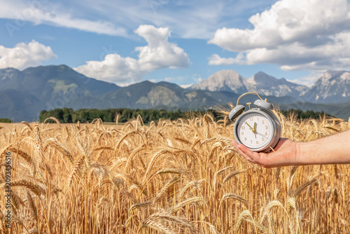 Fotografie Alarm clock held in a human hand above a ripe wheat field with alpine mountains in the background