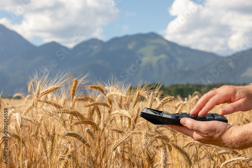 Konstfotografi Calculator in human hands above a ripe wheat field with mountains in the distance