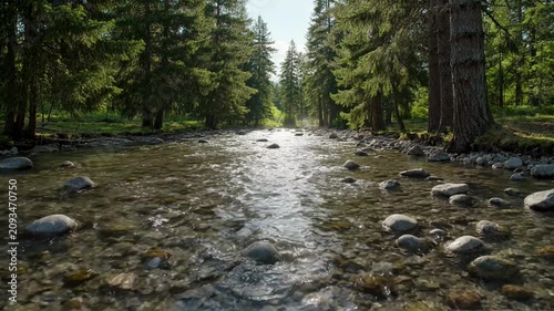 Crystal clear mountain river flowing over smooth stones in lush forest a pristine, shallow cascades over round, rocks