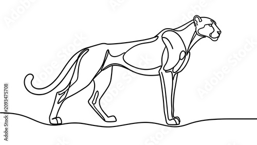 Cheetah outline drawing on white background.