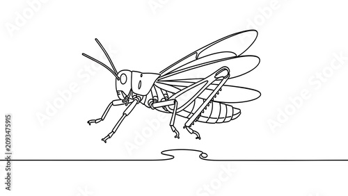 Detailed grasshopper line art on white background.