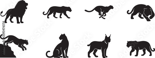 Photography Wild big cats and safari predators black silhouette vector icon set featuring li