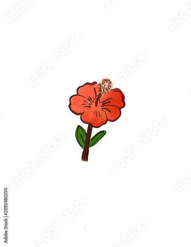 A vibrant and beautiful hand-drawn red hibiscus flower with green leaves, carefully illustrated on a professional digital transparent checkerboard background