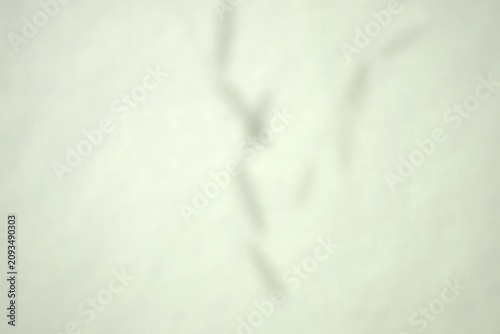 Obraz na płótnie Abstract blurred shapes on a light background