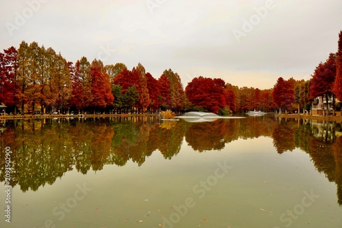 Tableau sur toile 曇りの日に褐色の紅葉を見せるメタセコイヤを反射する池　埼玉県別所沼