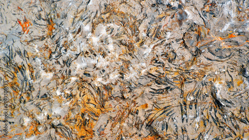 Obraz na plátně An interesting rock with a marbled-like texture, featuring different types of minerals clustered together to form a pattern