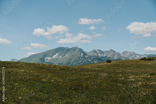 Obraz na plátně Rocky mountain peaks rising above alpine meadows in Durmitor National Park, Montenegro