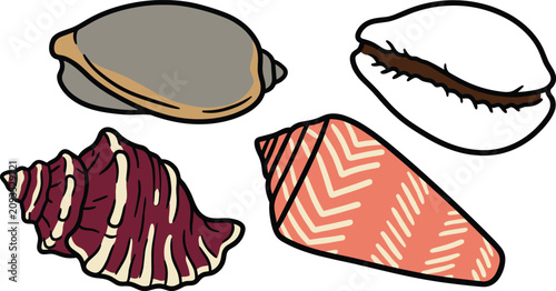 Photos Sea Shell Vector Icon Set Featuring Various Marine Shells Including Cowrie Cone