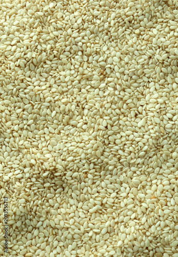 Dry sesame seeds in big pile on table close up. Large amount of yellow sesame grains