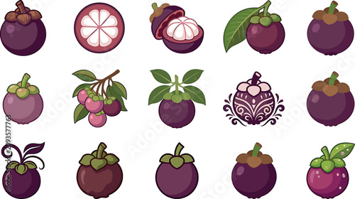 Bild auf Leinwand Mangosteen tropical fruit vector illustration set featuring purple mangosteens w