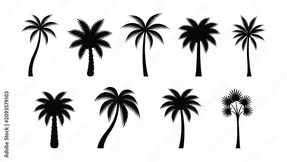 Fototapeta premium Black palm tree silhouettes on white background