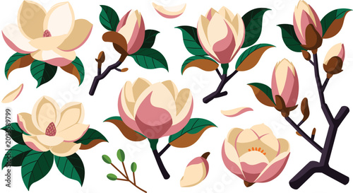Quadro su tela Magnolia blossoms flat vector illustration