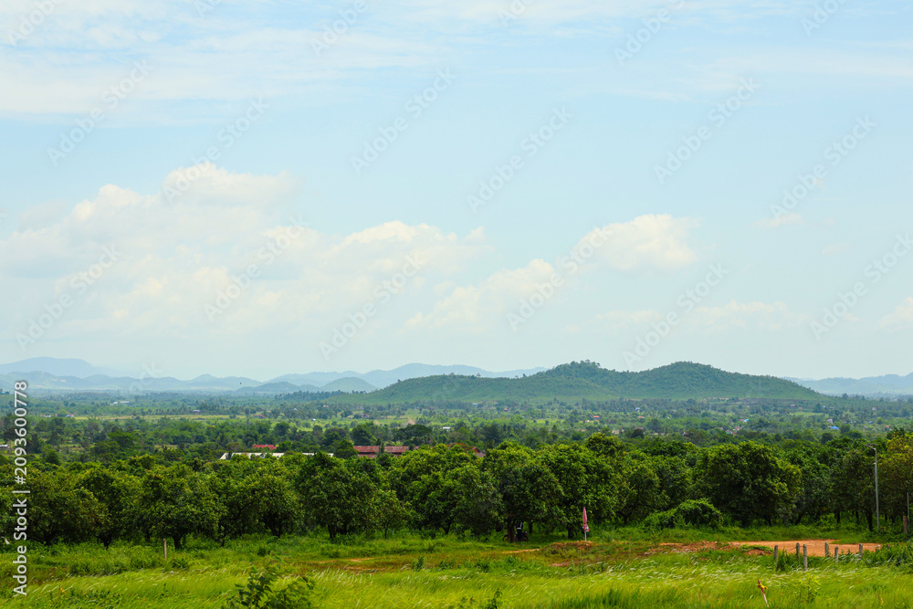Fototapeta premium Green landscape featuring trees and distant mountains