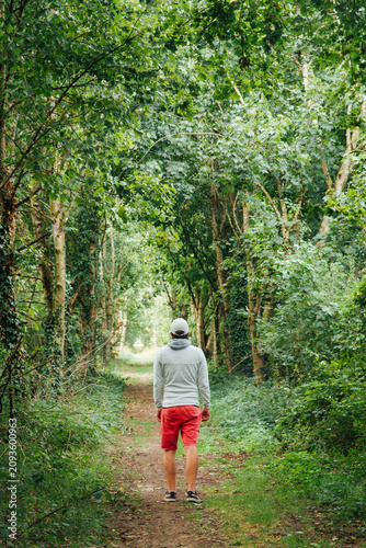 Homme marchant dans une forêt au printemps. Personne avec un short rouge se promène dans les bois verts. Balade dans la nature