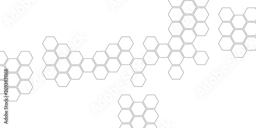 Photography White hexagon background with abstract black honeycomb outlines, linear geometric cells and clean structure, modern tech design for wallpaper, cover and web