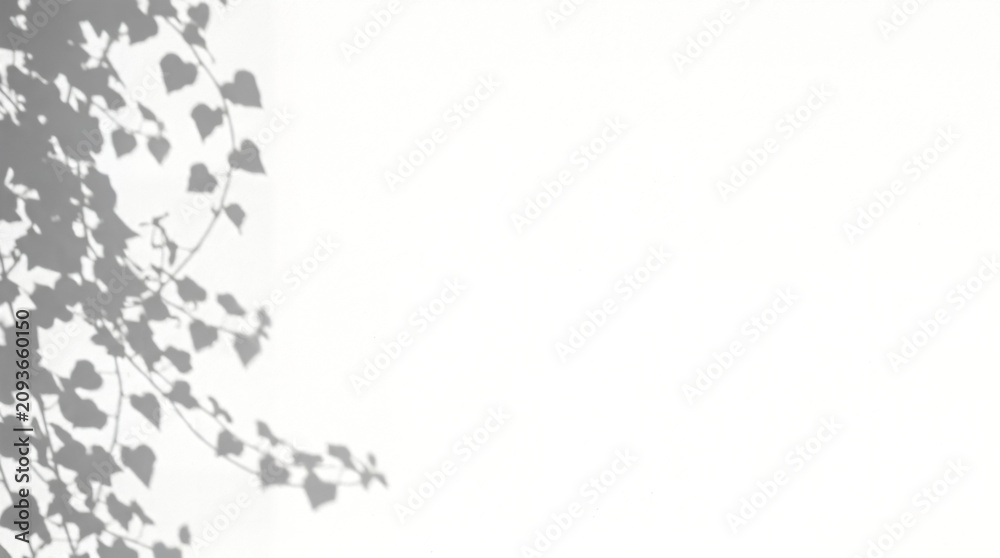 Fototapeta premium Minimal gray foliage shadow on white background, leafy branch silhouette pattern, soft natural light abstract backdrop