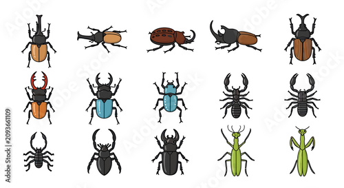 Collection of insect illustrations including beetles and a mantis.