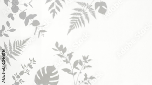 Foto Minimal botanical leaf shadow pattern on white wall, tropical foliage silhouette