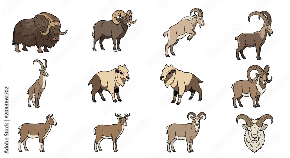 Obraz premium Set of horned mammals including rams and mountain goats.