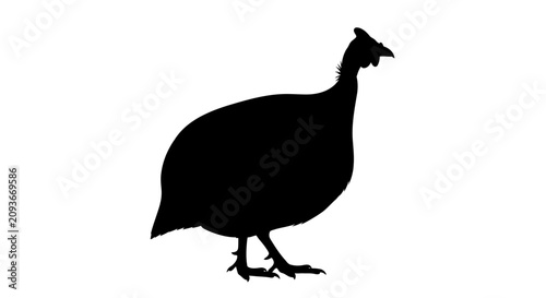 Foto A black silhouette of a guinea fowl standing in profile isolated on white backgr