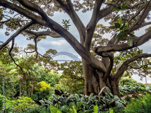Fotografie Wendy Whiteley's Secret Garden in Sidney