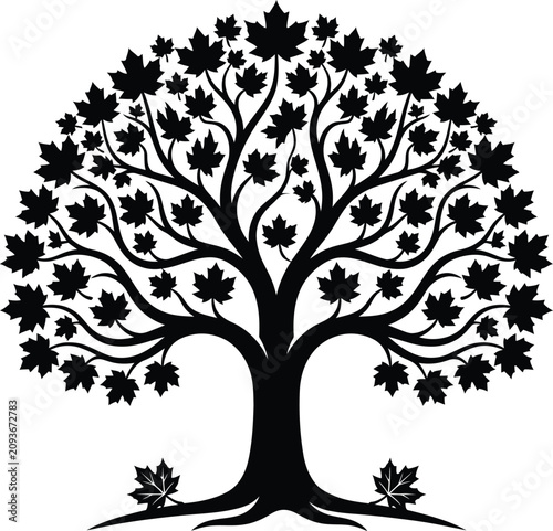 Black silhouette maple tree with leaves on white background in elegant vector illustration design