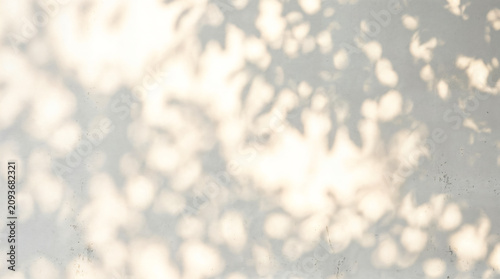 Photos Abstract sunlit bokeh background, warm beige wall with soft leaf shadow pattern,