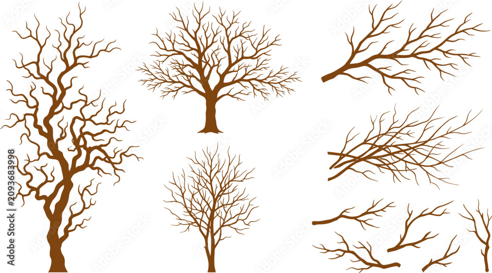 Fototapeta premium Autumn Leafless Tree Silhouette Vector Isolated on White Background with Bare Branches Black Nature Forest Illustration
