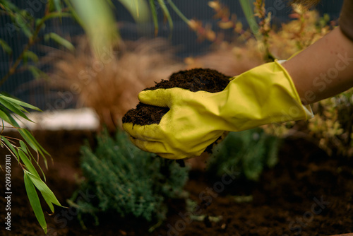 Hands in Yellow Gloves Holding Rich Compost Soil 