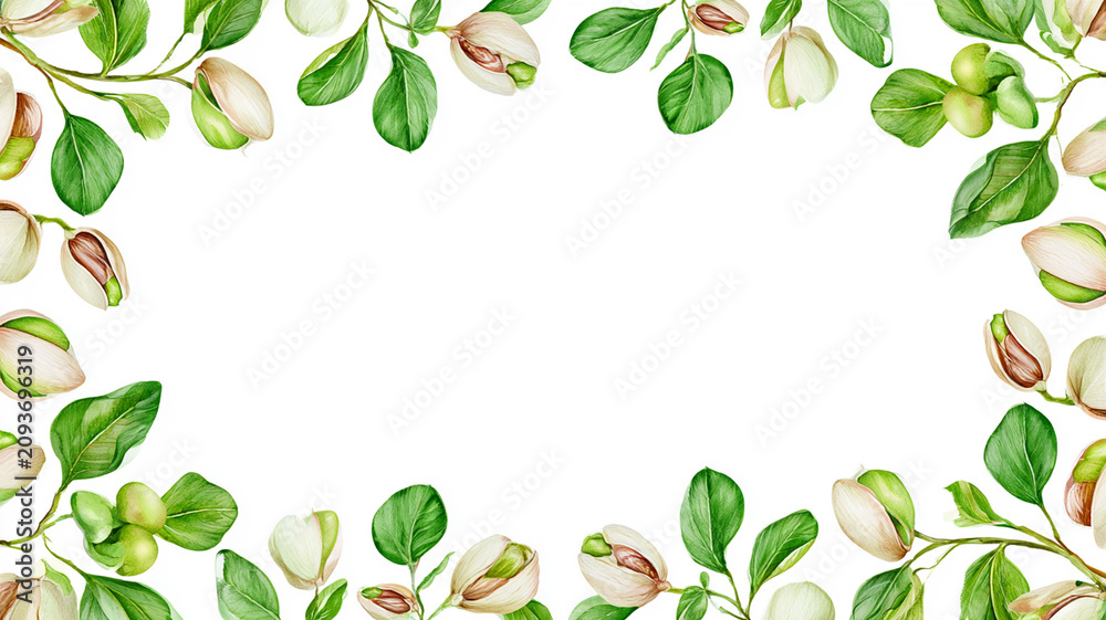 Obraz premium Watercolor botanical border made of pistachio branches, fresh green leaves, pistachio nuts in shells and cracked pistachios framing all edges with copy space, with an open, airy border