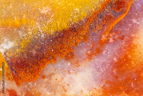 Opalized Petrified Wood Textures  