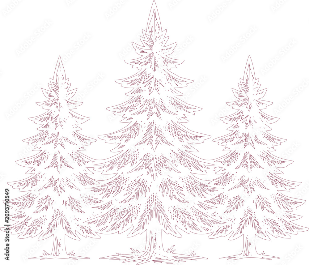 Obraz premium Three pine trees in a line on a white background