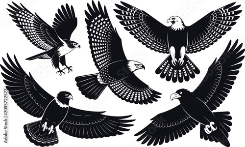 Canvastavla Collection of eagle silhouettes in flight featuring different wing positions sil