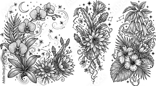 Obraz na płótnie Mystical celestial tropical botanical sketch set featuring orchids night bloomin