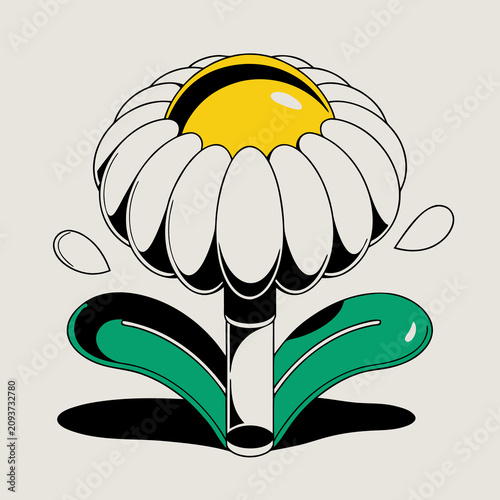 Colorful daisy flower with green leaves