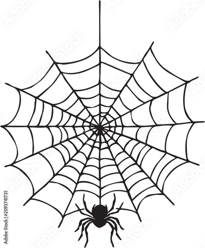 Hand drawn spider web silhouette with hanging spider isolated on white background. Halloween vector illustration.