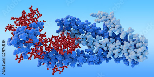 Foto Human cardiac troponin complex molecular structure, 3D render of muscle protein