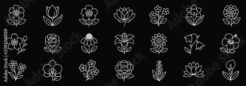 Flowers line editable icon set. Flat Style simple flower icon.various flower rose, daisy,sunflower tulip, lily, orchid,thin linear vector illustration 