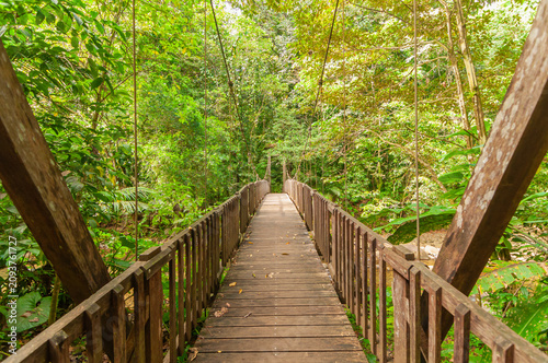Le sentier découverte de la Maison de la forêt à Petit-Bourg à Basse-Terre en Guadeloupe, Antilles Françaises.