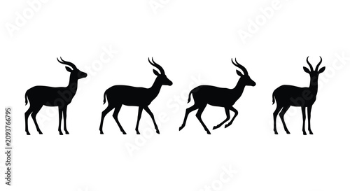 Billede på lærred Four Impala Antelope Silhouettes In A Row Black And White Silhouette gazelle